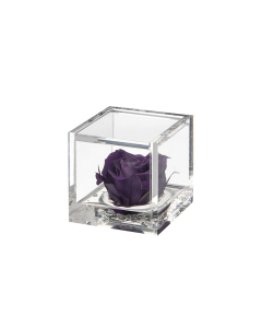 Flowercube rosa viola 6x6