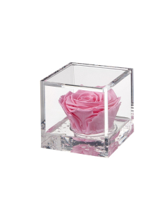 Flowercube rosa rosa 8x8