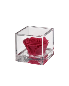 Flowercube rosa rossa 8x8