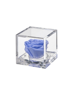Flowercube rosa azzurra 8x8