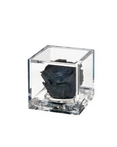 Flowercube rosa nera 8x8