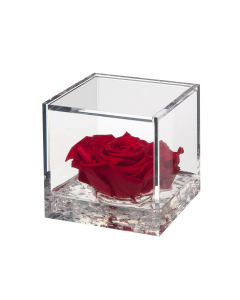 Flowercube rosa rossa 10x10