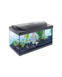 Acquario starter line 54 l