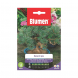 Semi di Bonsai di Pino