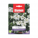 Semi di Iberis Gibraltarica bianco