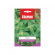Semi di menta Blumen