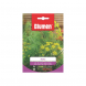 Semi di aneto Blumen