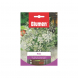 Semi di anice Blumen