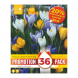Bulbi di Crocus Large Flowering Kapiteyn 36 pz