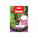 Semi di cappero Blumen
