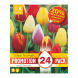 Bulbi di Tulipa Triumph Mixed Colours Kapiteyn 24 pz