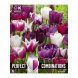 Bulbi di Tulipa violet & white Perfect Combinations Kapiteyn 15pz