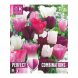 Bulbi di Tulipa pink, white & purple Perfect Combinations Kapiteyn 15pz