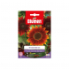 Semi girasole red sun