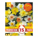 Bulbi di Narcissus Mixed Colours Kapiteyn 15 pz