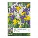 Bulbi di Iris Hollandica Mixed Kapiteyn 15 pz