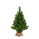 Pino Evergreen con base in juta