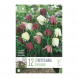 Bulbi di Fritillaria Meleagris Kapiteyn 12 pz