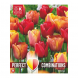 Bulbi di Tulipa red, orange & yellow Perfect Combinations Kapiteyn 15pz