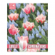 Bulbi di Tulipa & Muscari Lovely Combinations Kapiteyn 20pz