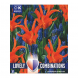 Bulbi di Tulipa & Muscari Lovely Combinations Kapiteyn 25pz
