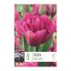 Bulbi di Tulipa Double Early Royal Acres Kapiteyn 8 pz