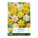 Bulbi di Narcissus Double Mixed Colours Kapiteyn 5 pz