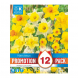 Bulbi di Narcissus mixed colours Kapiteyn 12pz