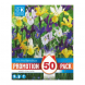 Bulbi di Iris Hollandica Mixed Colours Kapiteyn 50 pz
