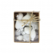 Mini box formine assortite Bianco Glitter Inge