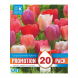 Bulbi di Tulipa Darwin Hybrid pastel mix Kapiteyn 20pz