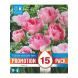 Bulbi di Tulipa Double Finola Kapiteyn 15pz