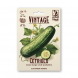 Semi Vintage Cetriolo Marketmore