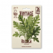 Semi Vintage Rucola Coltivata