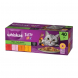 Whiskas Tasty Mix Scelta dello Chef Gatto Multipack 40x85g – Bocconcini in Salsa