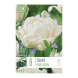 Bulbi di Tulipa Double Late Mount Tacoma Kapiteyn 8 pz