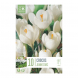 Bulbi di crocus large flowering jeanne d'arc