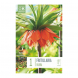 Bulbi di Fritillaria Imperialis Rubra Kapiteyn 1 pz