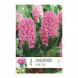 Bulbi di hyacinthus pink pearl