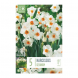 Bulbi di narcisi geranium