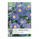 Bulbi di Anemone Blanda Blue Shades Kapiteyn