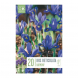 Bulbi di iris reticulata harmony