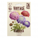 Semi Scabiosa o Vedovella Vintage