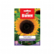 Semi girasole gigante bellezza d'autunno