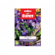 Semi viola cornuta blu