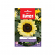 Semi girasole moonshine