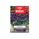 Semi viola king henry a piccoli fiori