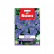 Semi viola cornuta blue perfection