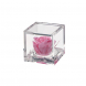 Flowercube Rosa stabilizzata rosa 6x6