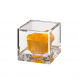 Flowercube rosa gialla 8x8